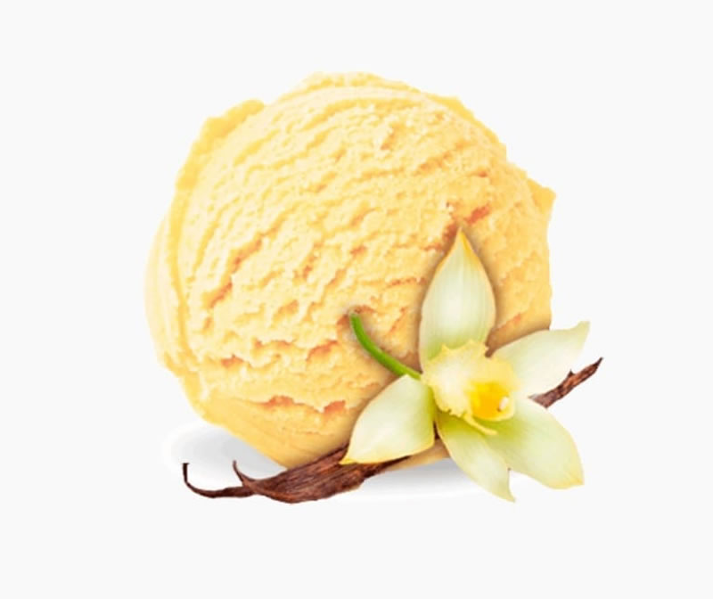 Cubeta para helado de vainilla a granel